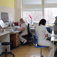 Imunologická laboratoř - 20. budova
