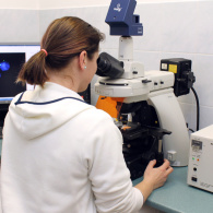 Laboratoř molekulární diagnostiky a cytogenetiky - hodnocení genetických preparátů ve fluorescenčním mikroskopu
